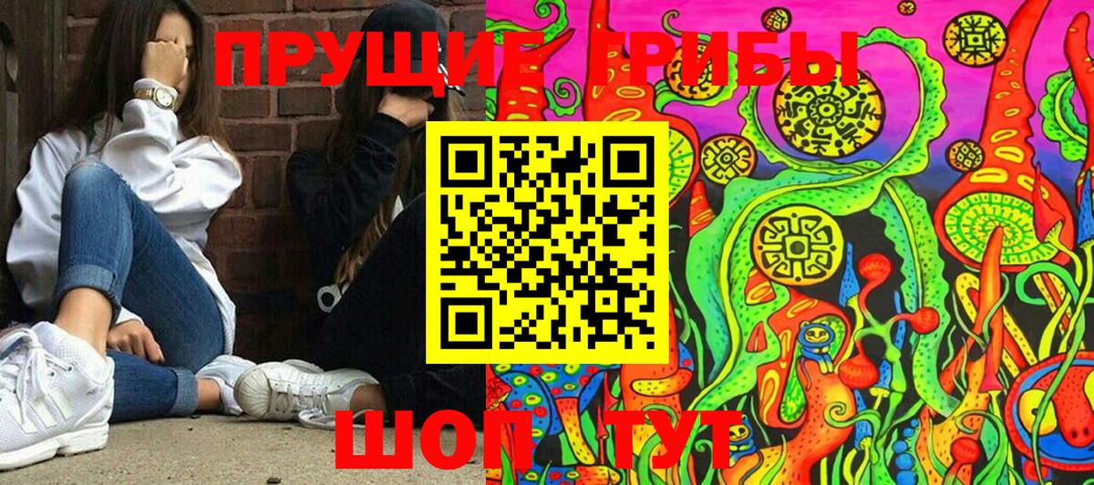 Галлюциногенные грибы мицелий Чита